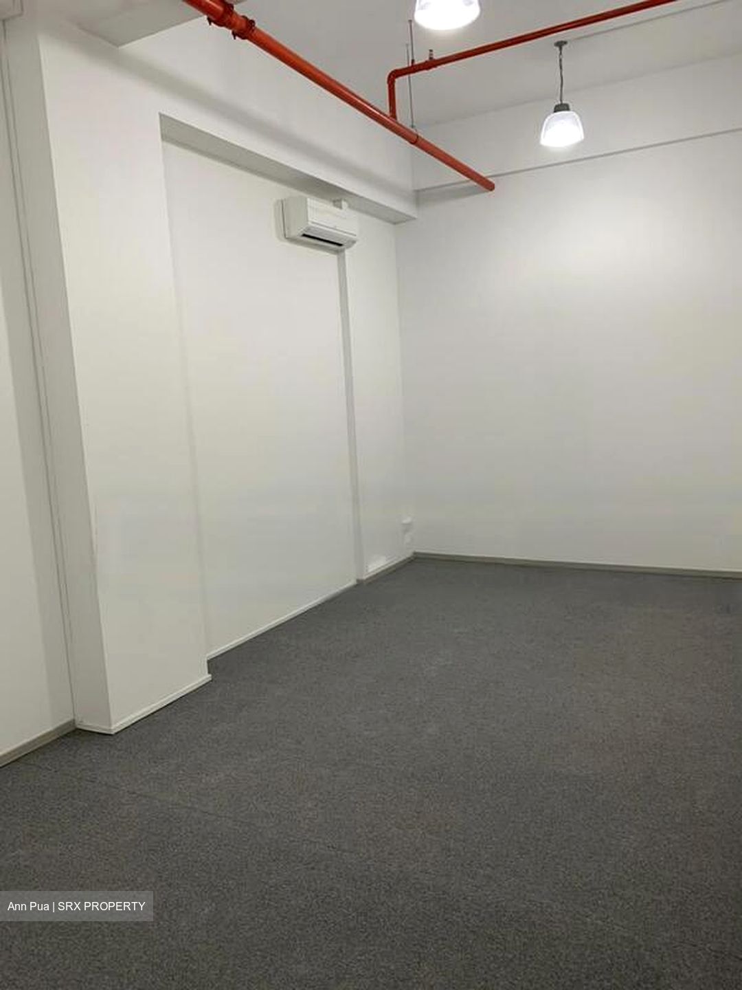 A'posh Bizhub (D27), Factory #481312471